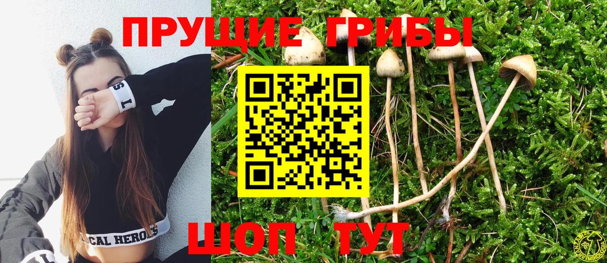 Славгород  Галлюциногенные грибы мухоморы  Вход с VPN 
